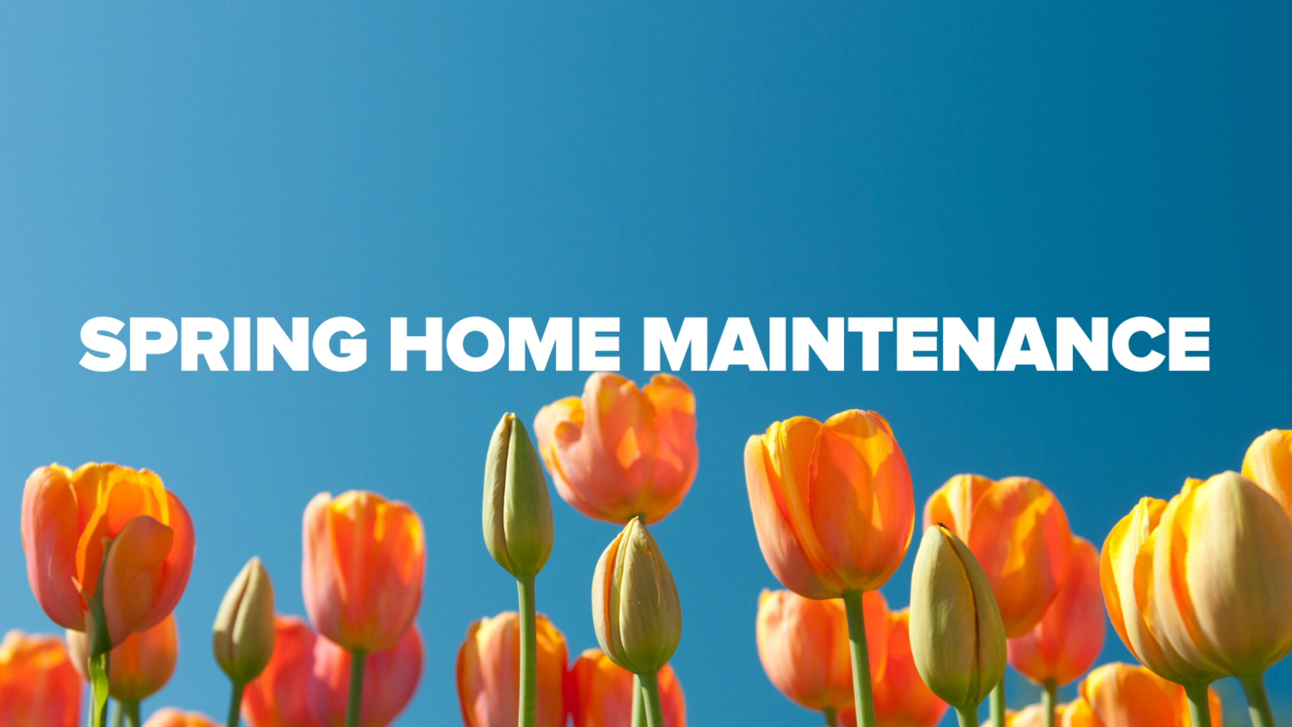 spring home maintenance